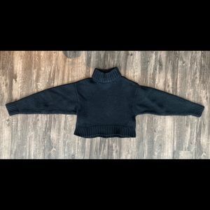 Aritzia Wilfred Heinen Cropped Wool Turtleneck